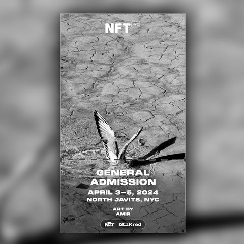 Amir - NFT.NYC 2024 NFT Ticket - General Admission